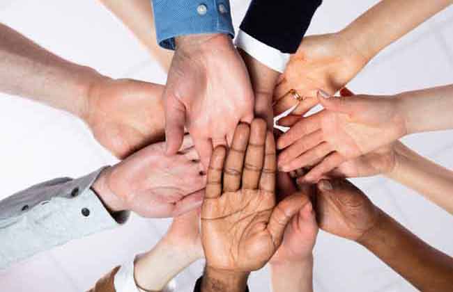 Team meeting and collaboration
